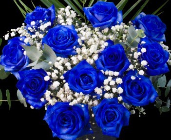 Valentine's Day LS Dozen Blue Roses Hand-tied